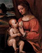 Bernadino Luini Nursing Madonna oil painting artist